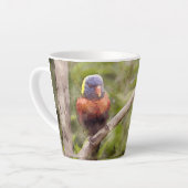 Mary's Mok (Linkerhoek)