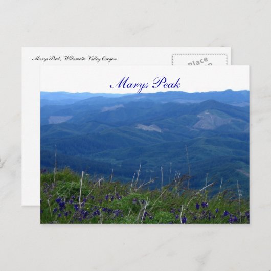 Marys Peak Briefkaart (Voorkant / Achterkant)