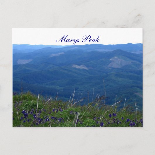 Marys Peak Briefkaart (Voorkant)