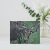 Marysville Moose Briefkaart (Staand voorkant)