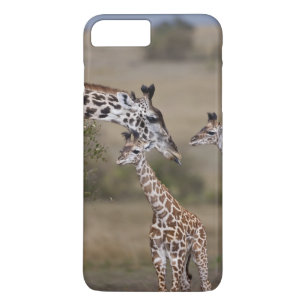 Masai-giraffe (Giraffe tippelskirchi) Case-Mate iPhone Case