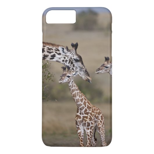 Masai-giraffe (Giraffe tippelskirchi) Case-Mate iPhone Case (Achterkant)