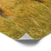 Masai Giraffe Kenia Africa poster (Hoek)