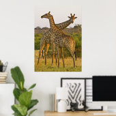 Masai Giraffe Kenia Africa poster (Thuiskantoor)