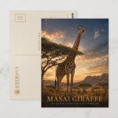 Masai-giraffe savanne DIEREN Briefkaart (Voorkant / Achterkant)