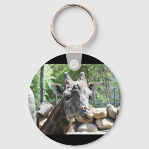 Masai Giraffe Sluiten Portait Sleutelhanger