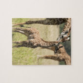 Masai-giraffen, Giraffa camelopardalis 2 Legpuzzel (Horizontaal)