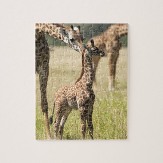 Masai-giraffen, Giraffa camelopardalis 2 Legpuzzel (Verticaal)
