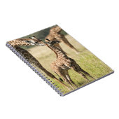 Masai-giraffen, Giraffa camelopardalis 2 Notitieboek (Rechterzijde)