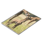Masai-giraffen, Giraffa camelopardalis 2 Notitieboek (Linkerzijde)