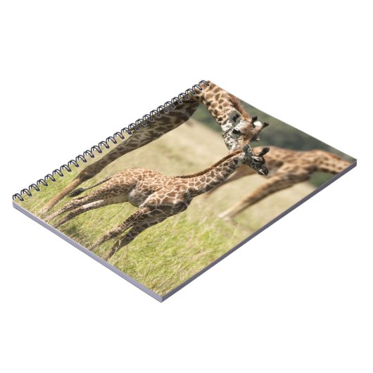 Masai giraffes, Giraffa camelopardalis 2 Notitieboek (Linkerzijde)