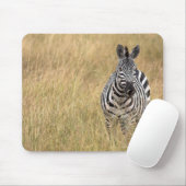 Masai Mara, Kenia Muismat (Met muis)