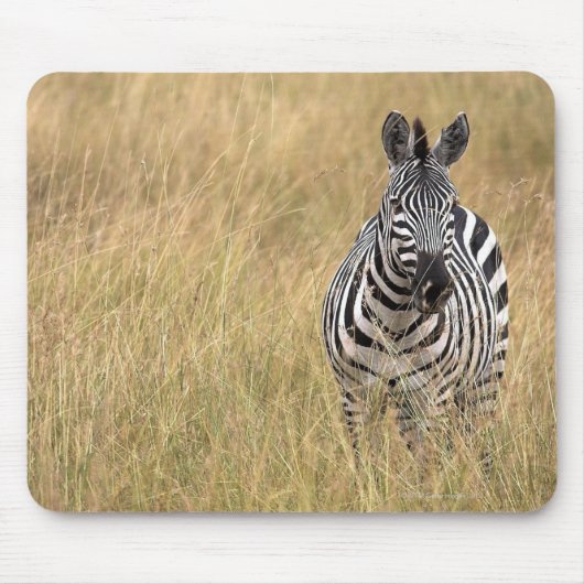 Masai Mara, Kenia Muismat (Voorkant)