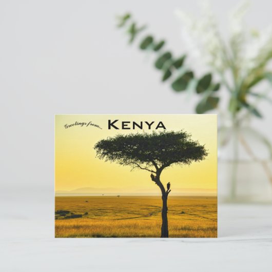 Masai Mara National Reserve in het Briefkaart Keni (Staand voorkant)