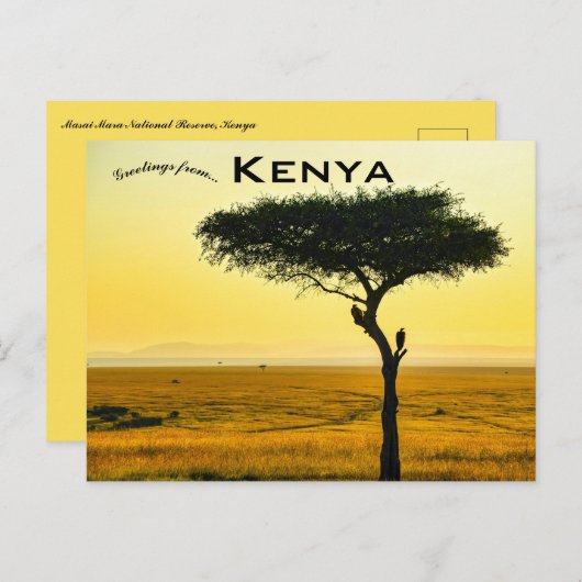 Masai Mara National Reserve in het Briefkaart Keni (Voorkant / Achterkant)