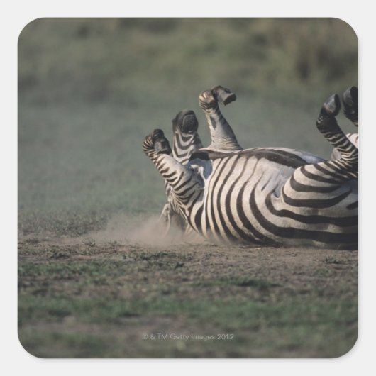 Masai Mara National Reserve, Kenia 2 Vierkante Sticker (Voorkant)