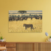 Masai Mara National Reserve, Kenia, Afrika Canvas Afdruk (Insitu (Woonkamer))