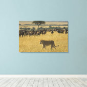 Masai Mara National Reserve, Kenia, Afrika Canvas Afdruk (Insitu (Houten vloer))