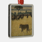 Masai Mara National Reserve, Kenia, Afrika Metalen Ornament (Rechts)