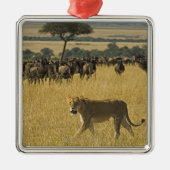 Masai Mara National Reserve, Kenia, Afrika Metalen Ornament (Voorkant)