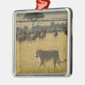 Masai Mara National Reserve, Kenia, Afrika Metalen Ornament (Links)