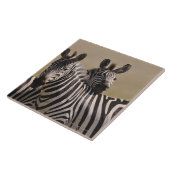 Masai Mara National Reserve, Kenia, juli 2005 3 Tegeltje (Zijkant)