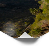 Masca in Spanje Perfect Poster (Hoek)