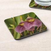 Masdevallia Bier Onderzetter (Linkerzijde)