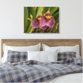 Masdevallia Canvas Afdruk (Insitu (Slaapkamer))