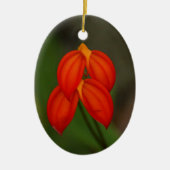 Masdevallia ignea Orchid Keramisch Ornament (Voorkant)