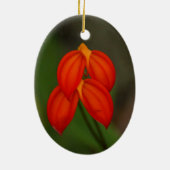 Masdevallia ignea Orchid Keramisch Ornament (Achterkant)