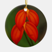 Masdevallia ignea Orchid Keramisch Ornament (Voorkant)