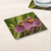 Masdevallia Kartonnen Onderzetters (Schuin)