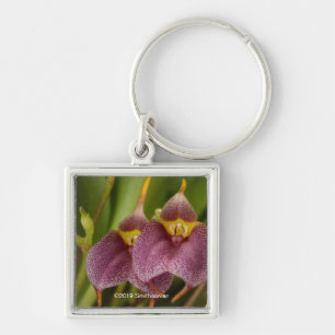 Masdevallia Sleutelhanger