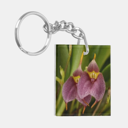 Masdevallia Sleutelhanger (Voorkant Links)
