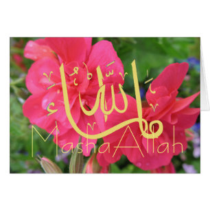 Masha Allah feliciteert