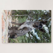 Mask Brindle Cattle Dog merkt Scene op Legpuzzel (Horizontaal)
