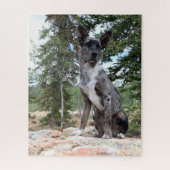Mask Brindle Cattle Dog merkt Scene op Legpuzzel (Verticaal)