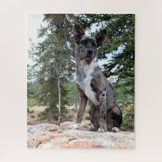 Mask Brindle Cattle Dog merkt Scene op Legpuzzel (Verticaal)