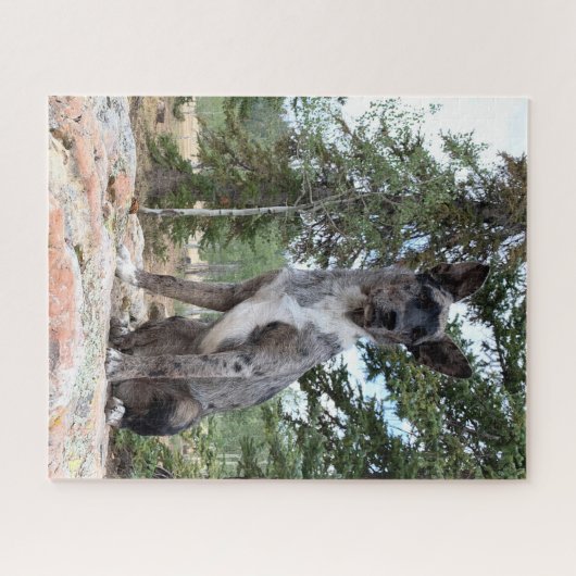 Mask Brindle Cattle Dog merkt Scene op Legpuzzel (Horizontaal)