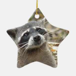 Mask Raccoon Ornament
