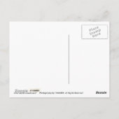 Masker Briefkaart (Achterkant)