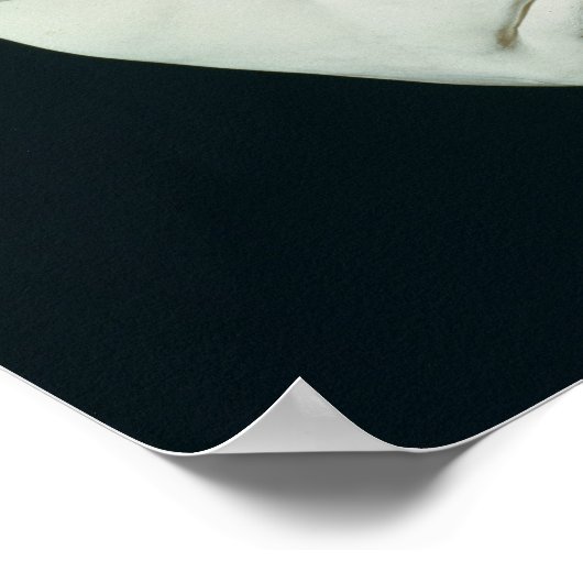 Masker van Beethoven, uit het leven genomen op de Poster (Hoek)