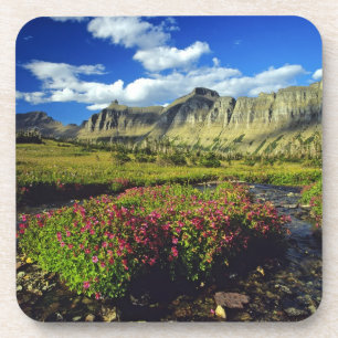 Maskerbloemen bij Logan Pass in Glacier National Drankjes Onderzetter