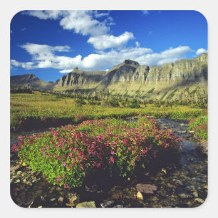 Maskerbloemen bij Logan Pass in Glacier National Vierkante Sticker
