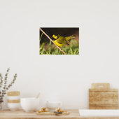 Maskerzanger (Wilsonia citrina) Poster (Keuken)