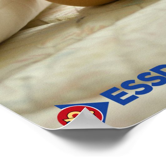 Maslow voor Bloom Poster (Hoek)