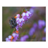 Mason and Heather Foto Afdruk (Voorkant)