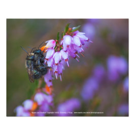 Mason and Heather Foto Afdruk