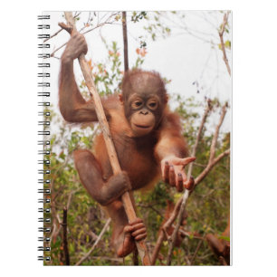 Mason Orangutan - Lend me een hand Notitieboek